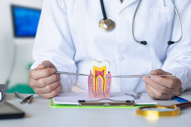 Best Emergency Root Canal Therapy in Neodesha, KS